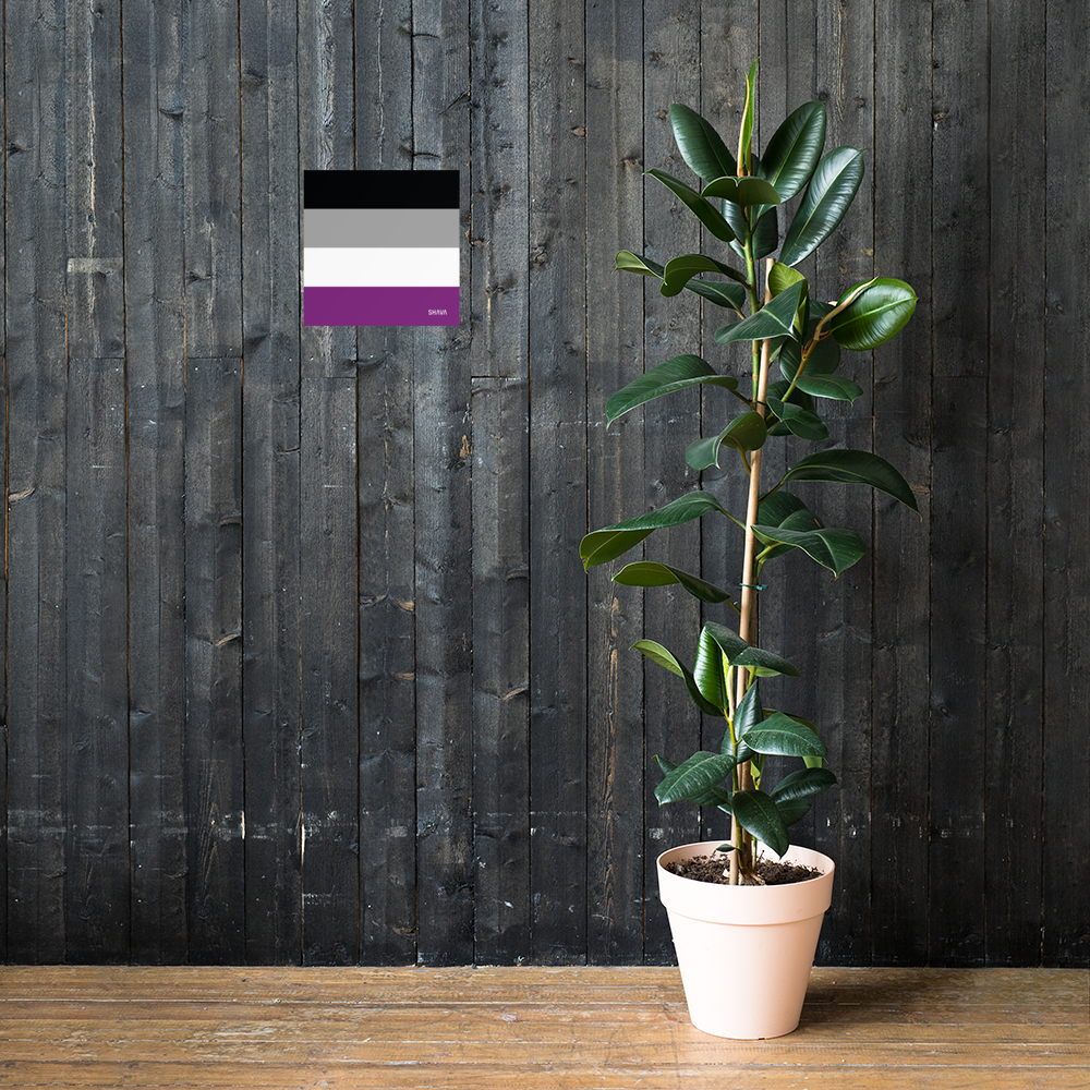 Asexual Flag LGBTQ Poster SHAVA