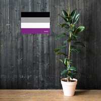 Thumbnail for Asexual Flag LGBTQ Poster SHAVA